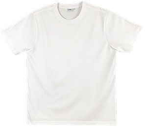 Blank plain white tshirt